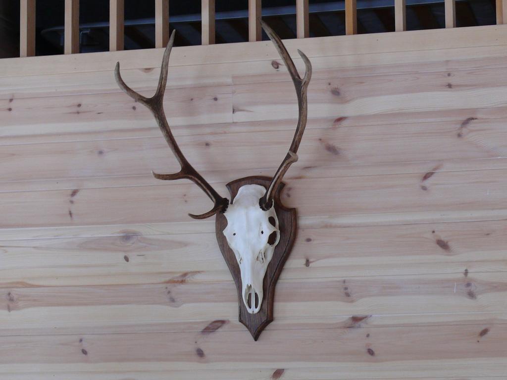 Вилла Chalet Врадал Экстерьер фото